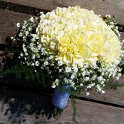Hand tied Posy Carnations and Gypsophylia 2