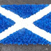 Scottish Flag