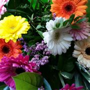 Mini Gerbera&#39;s Handtied Bouquet