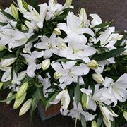 Large White Lily Casket Spray