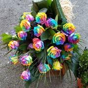 Rainbow Roses Tied Sheaf