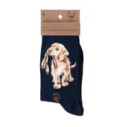 Ladies &#39;Hopeful&#39; Socks