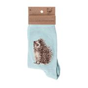 Ladies &#39;Hedgehugs&#39; Socks