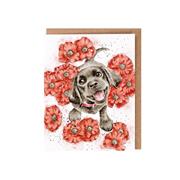 &#39;Poppy Love&#39; Seed Card