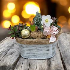 Christmas Planters 