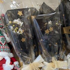 Phalaenopsis Orchid Plant 