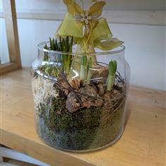 Glass Vase With Bulbs 