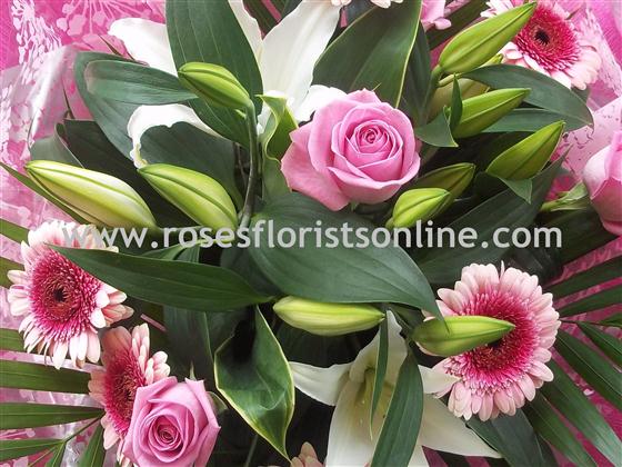 Order Online