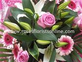 Order Online